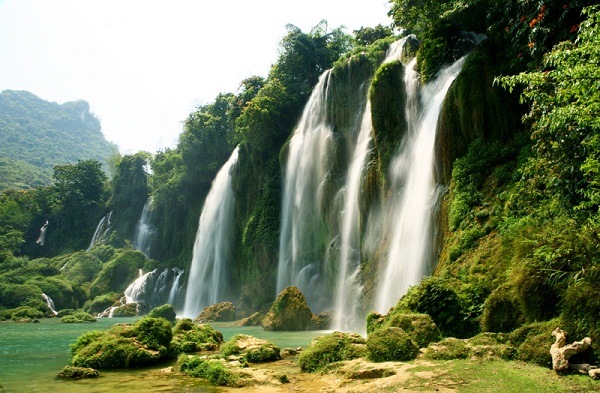 Suối Mơ