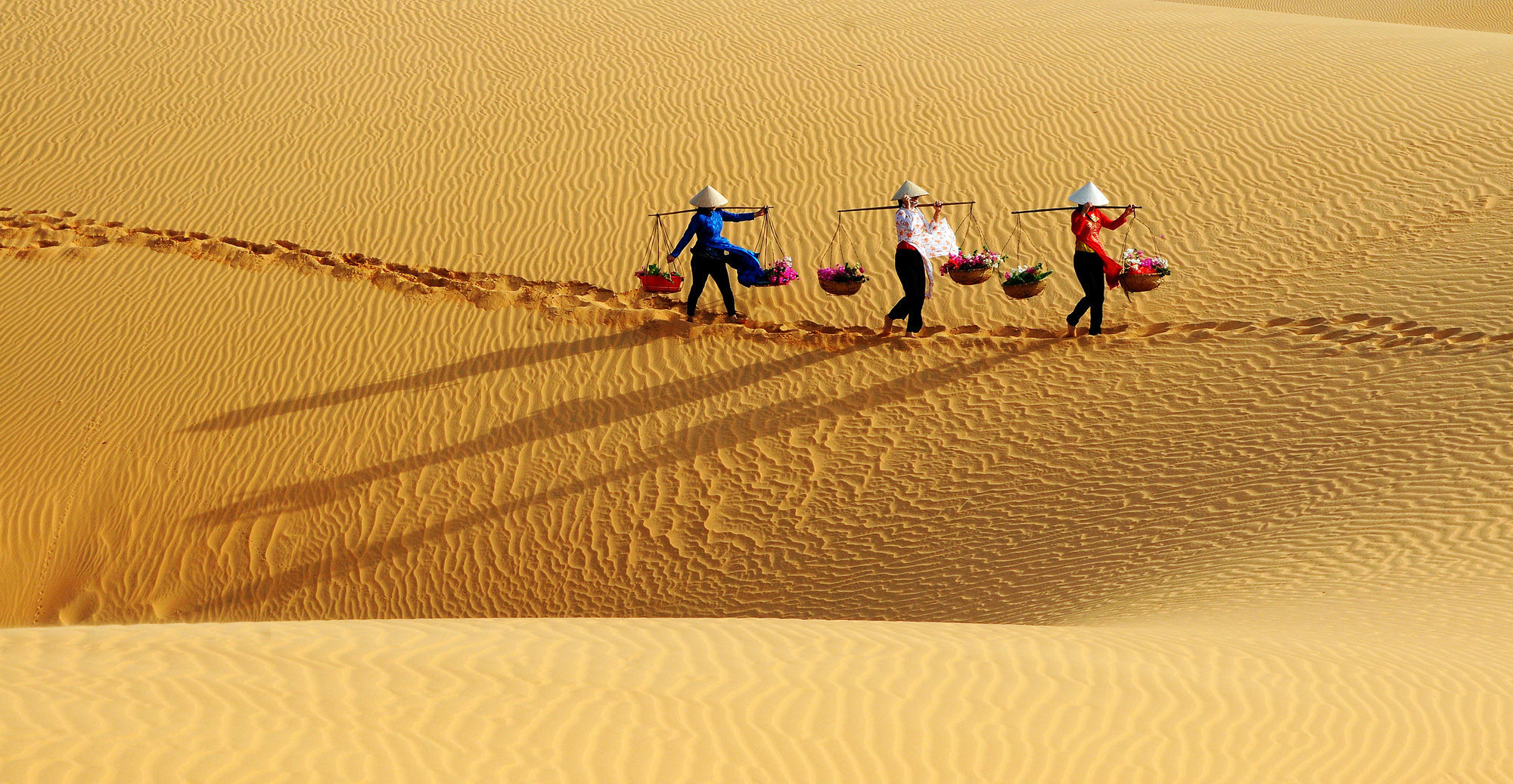 Diện tích của đồi cát rất rộng lớn, với hàng loạt các hạt cát nhỏ mịn và màu vàng óng ánh