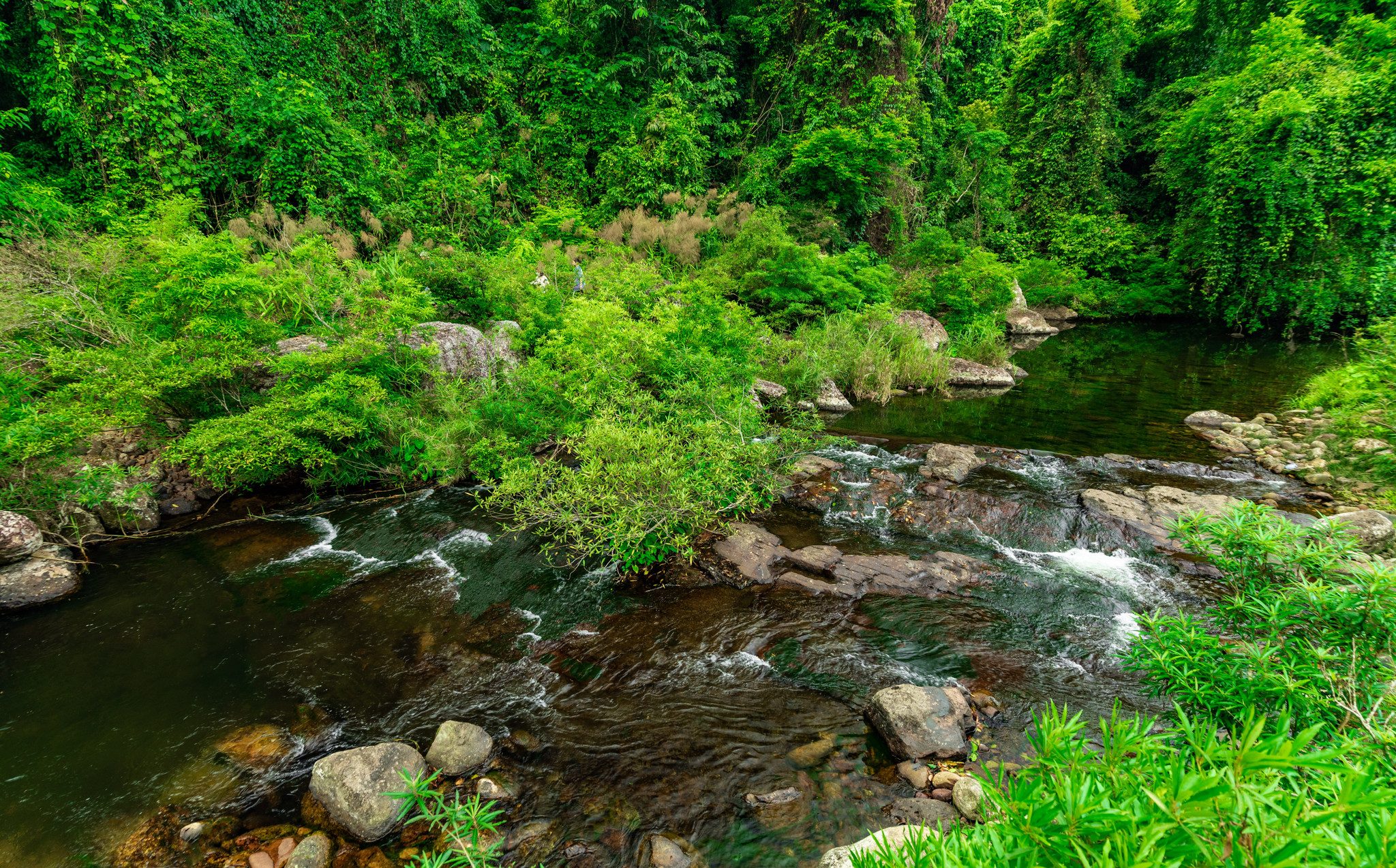Nơi đây được bao phủ bởi cánh rừng nguyên sinh hoang sơ và có khí hậu mát mẻ, ôn hoà