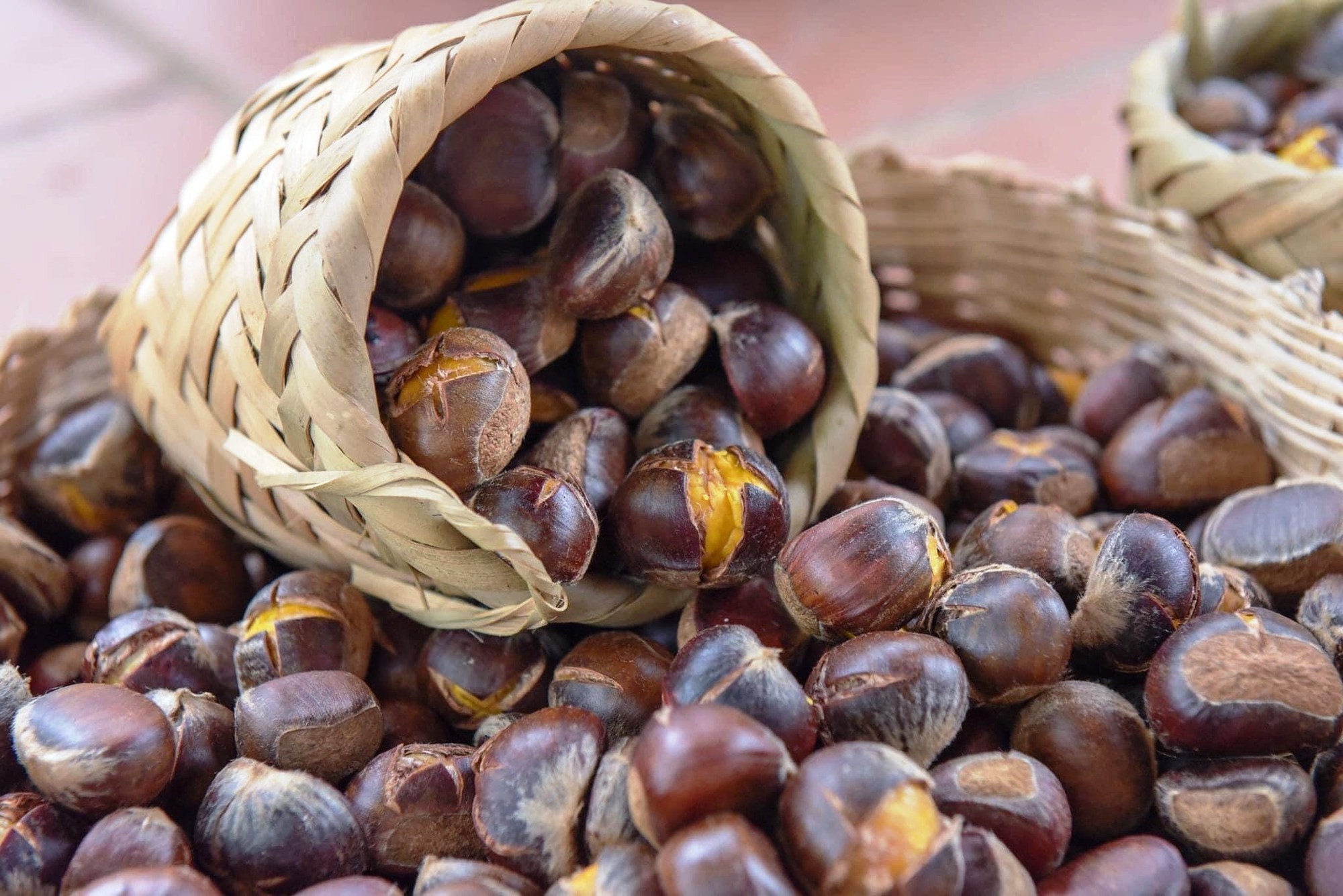 Với đất đai và khí hậu thích hợp cho việc trồng và chăm sóc hạt dẻ