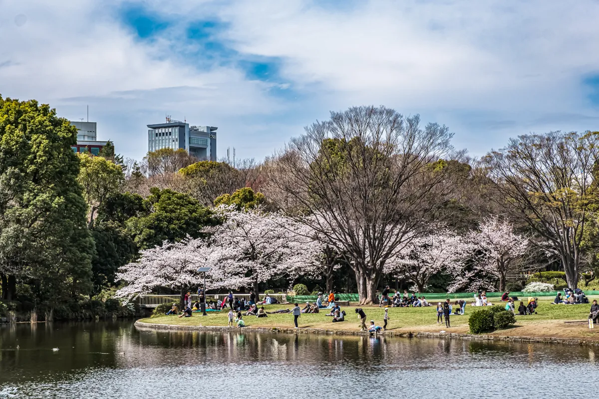 Khung cảnh như tranh vẽ nơi đây sẽ làm say đắm trái tim và tạo nên những khoảnh khắc khó quên trong hành trình khám phá Tokyo của bạn