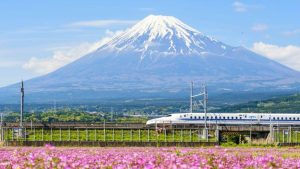 Du lịch Nhật Bản: Tokyo - Phú Sỹ - Kyoto - Osaka ngắm hoa anh đào