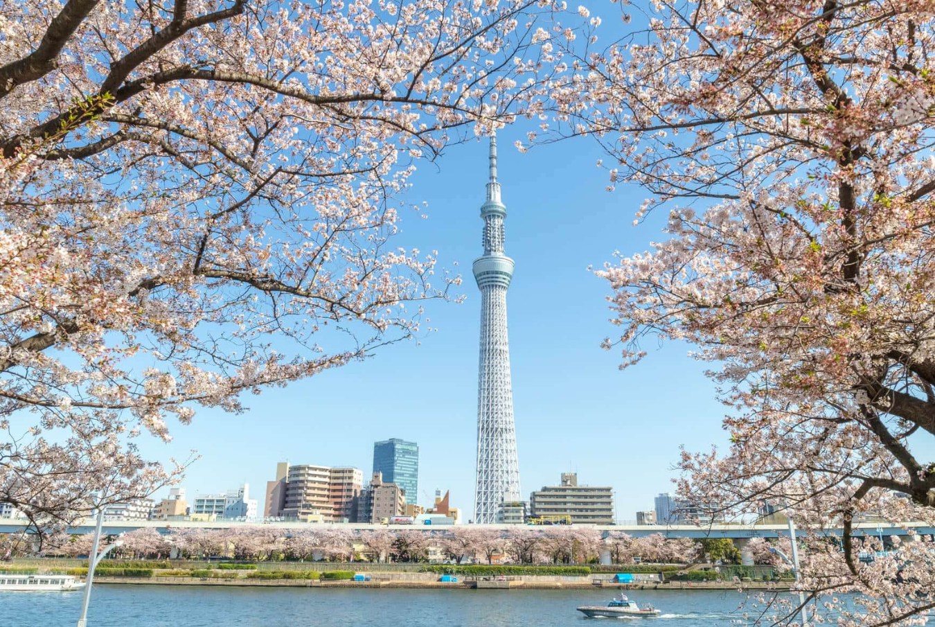 Tháp truyền hình Tokyo Sky Tree biểu tượng của Tokyo.