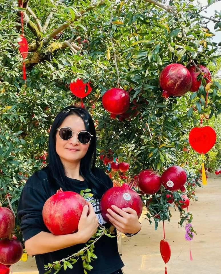 Lựu Mông Tự to và căng mọng nước