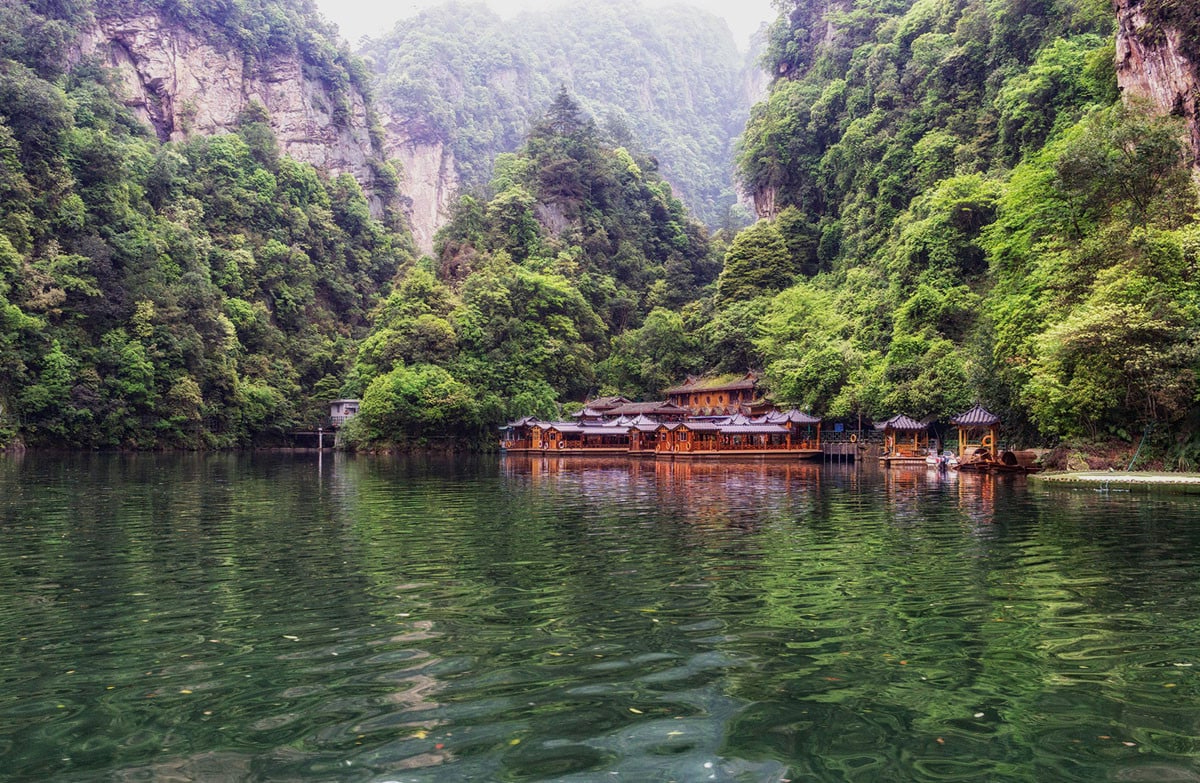Hồ Bảo Phong.