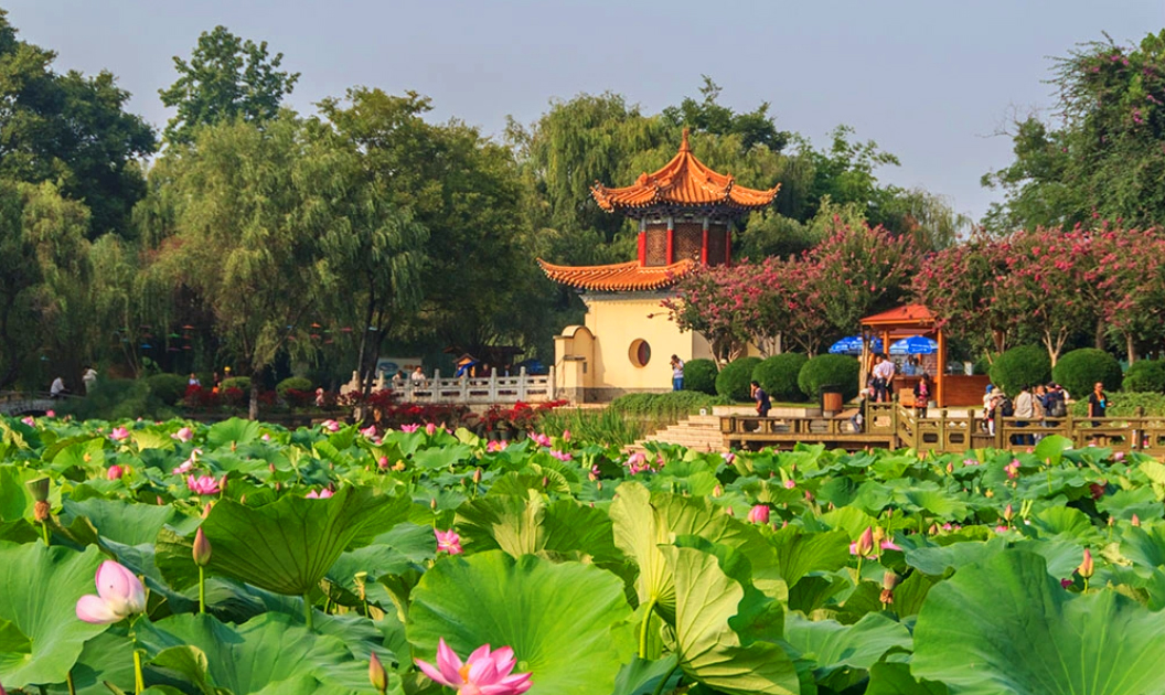 Công viên Đại Quan mùa hoa sen nở