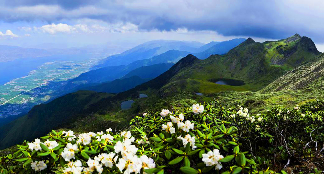 Núi Thương Sơn hệ động thực vật phong phú