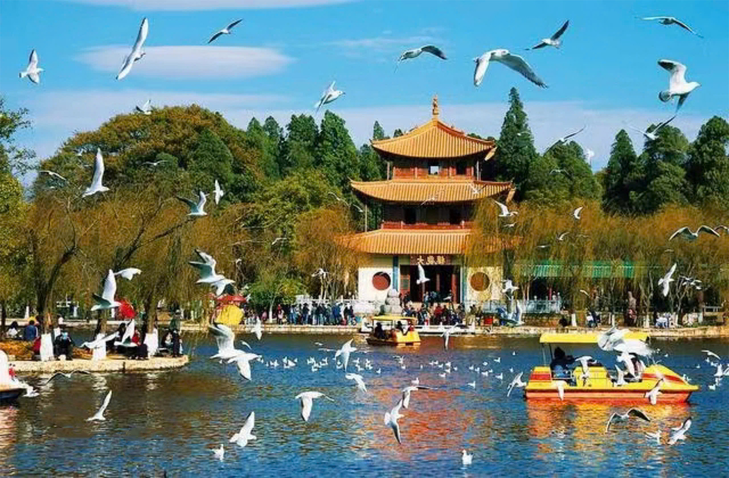 Tháp Đại Quan mùa chim mòng biển di cư về