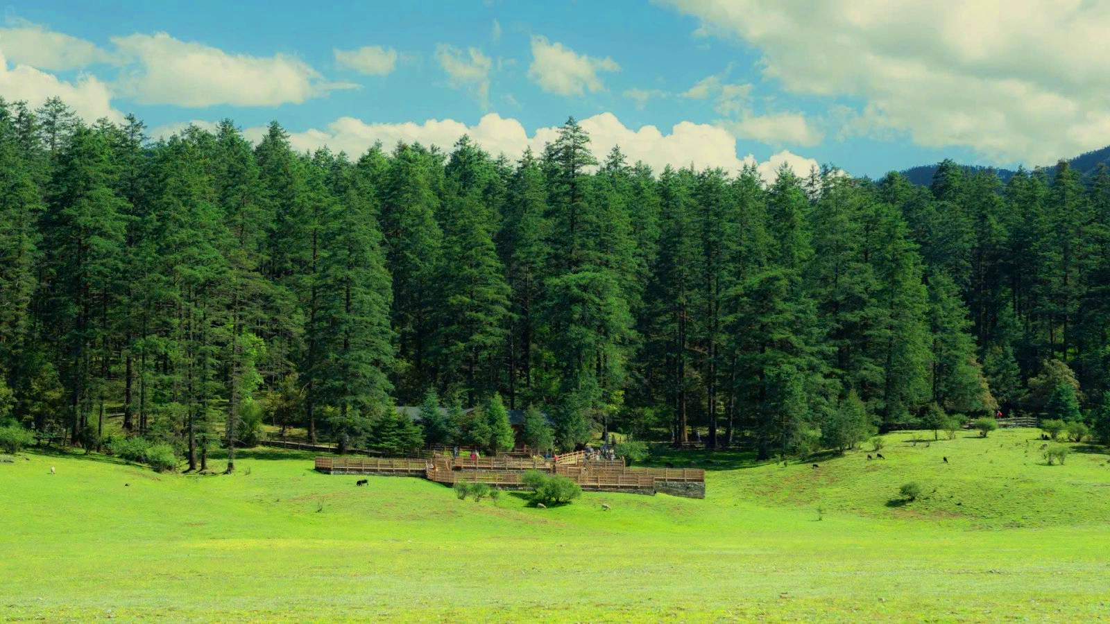 Hướng dẫn di chuyển