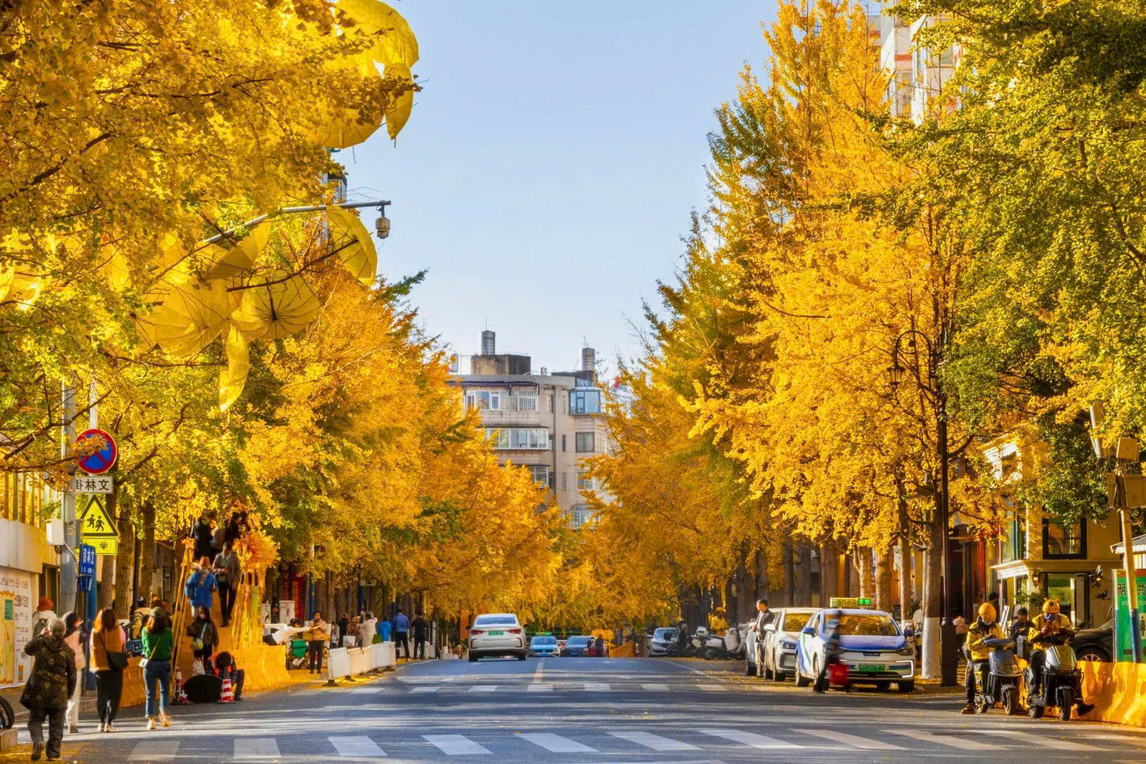 Phố Văn Lâm Côn Minh mùa lá vàng
