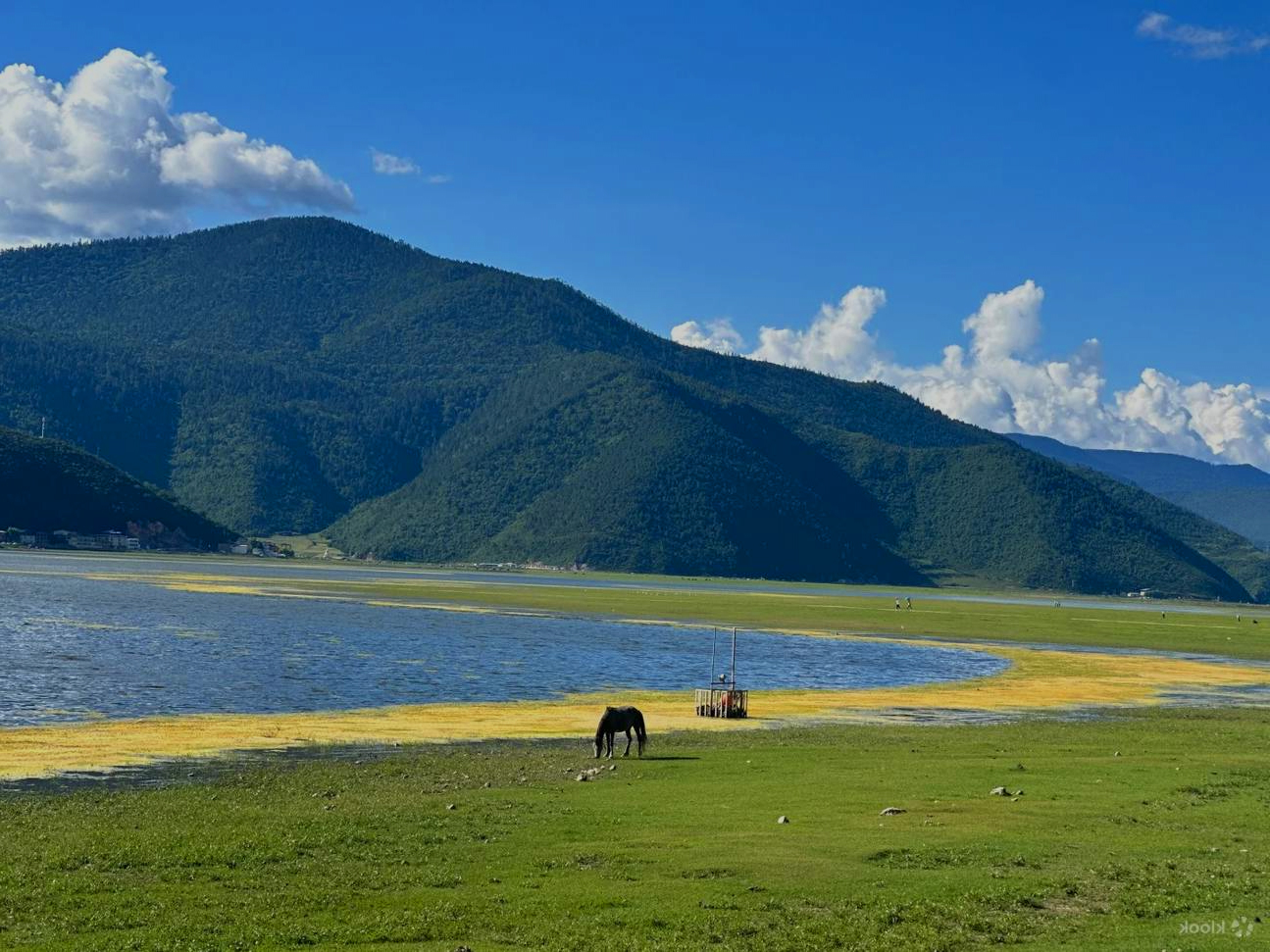 Hồ Napa.