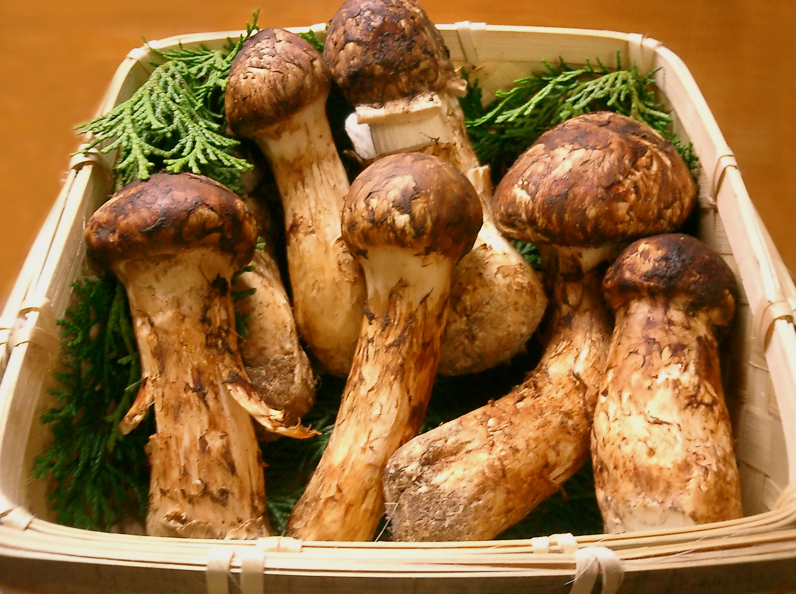 Nấm Matsutake.